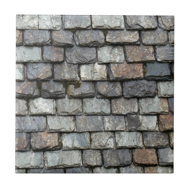 Azulejo Cubierta del tejado con las placas de la pizarra (Frente)