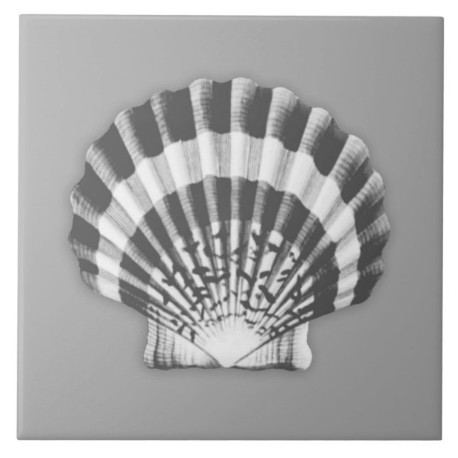 Azulejo Cubierta marina - gris y blanco de carbón vegetal (Frente)