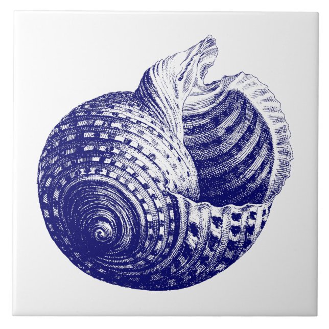 Azulejo Cuello de mar Azul y Blanco (Frente)