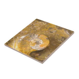 Azulejo Cuenco tallado hecho de fósiles en foto del prime