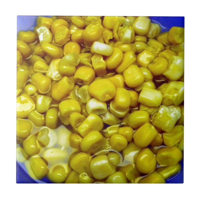 Azulejo Cuero amarillo (Frente)