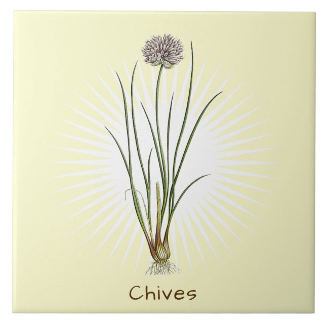 Azulejo Cueros de época Herb Tile de cerámica de arte botá (Frente)