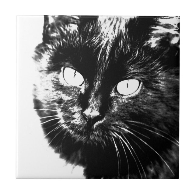 Azulejo Cuidada Funky Black And White Cat Kitten Sketch (Frente)