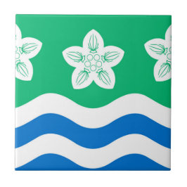 Azulejo Cumberland (condado del Reino Unido)