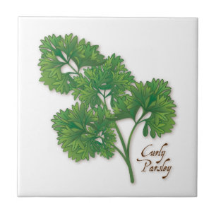 Azulejo Curly Parsley Ceramic Tile