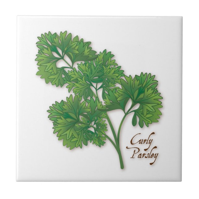Azulejo Curly Parsley Ceramic Tile (Frente)