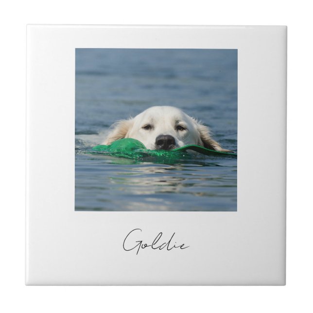Azulejo Custom print personalized ceramic dog photo (Frente)