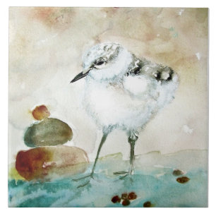 Azulejo Cute Baby Plover Ceramic Kitchen Tile