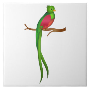 Azulejo Cute bird Quetzal