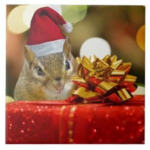 Azulejo Cute Chipmunk Merry Christmas
