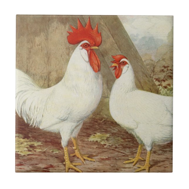Azulejo Cute Country Farmhouse rooster hen vintage (Frente)