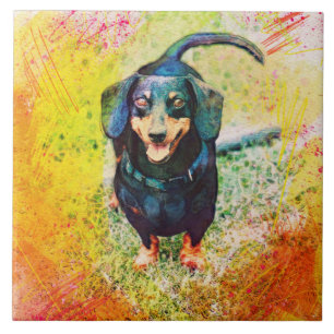 Azulejo Cute Happy Dachshund Dog Head Face