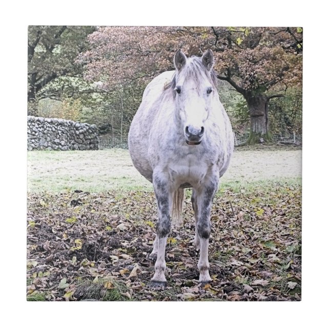 AZULEJO CUTE HORSE (Frente)