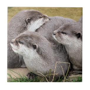 AZULEJO CUTE OTTERS