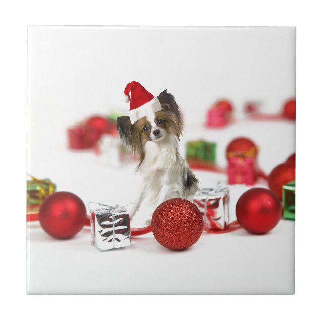 Azulejo Cute Papillon Dog Navidades Santa Hat (Frente)
