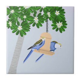 Azulejo Cute Pareja Jugadora Parrots Rosellas