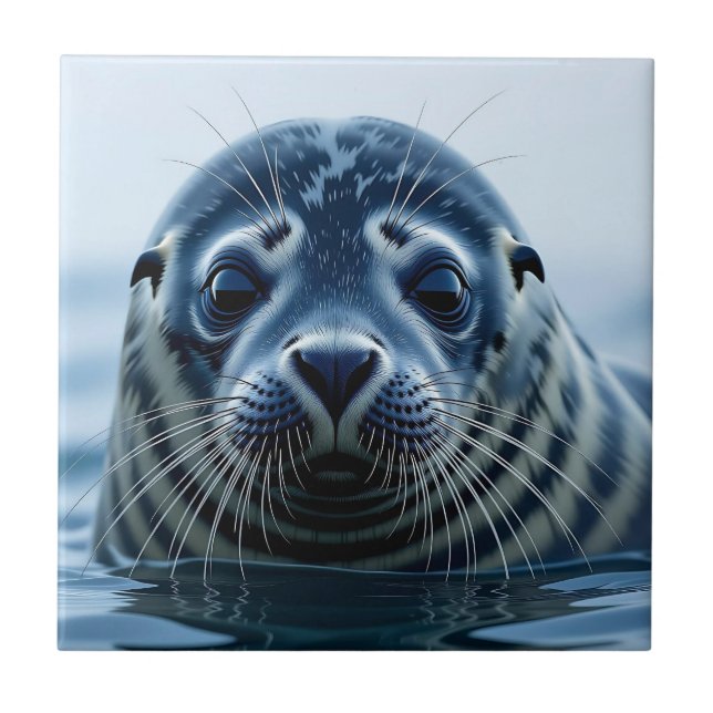 Azulejo Cute Seal Close up (Frente)
