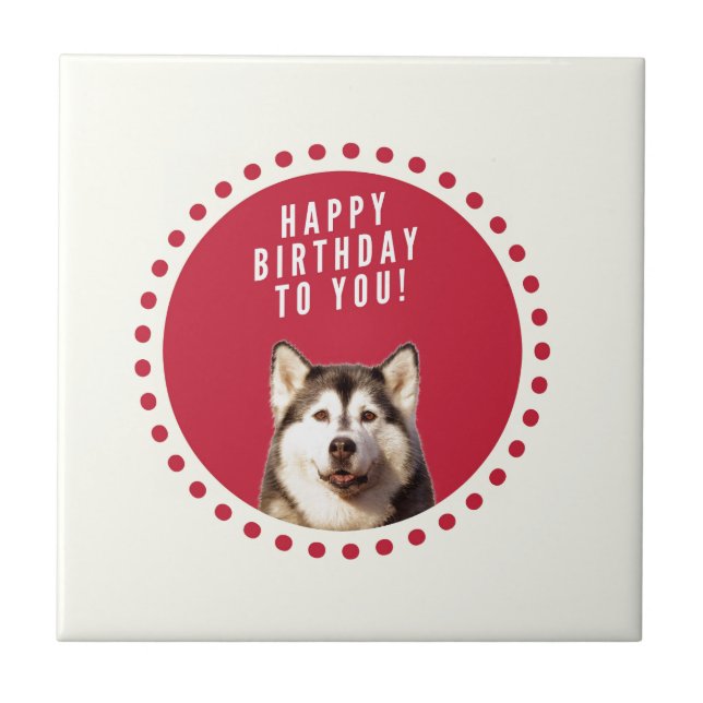 Azulejo Cute Siberian Husky Dog Feliz cumpleaños (Frente)