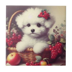 Azulejo Cute vintage Bichon Frisé Pintura