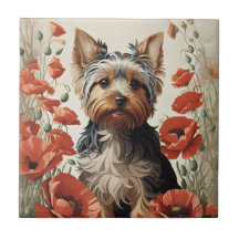 Cute Yorkshire Terrier Botaner Red Poppies