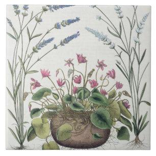 Azulejo Cyclamen y lavanda: 1.Cyclamen Romanum; 2.Spica
