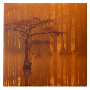 Azulejo Cypress Trees Parque estatal George Smith