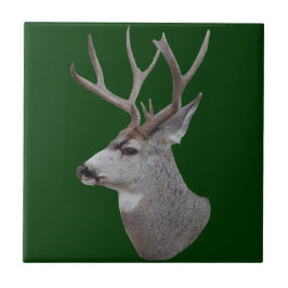 Azulejo D27 Mule Deer Buck Head
