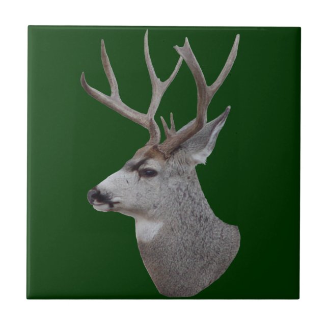 Azulejo D27 Mule Deer Buck Head (Frente)