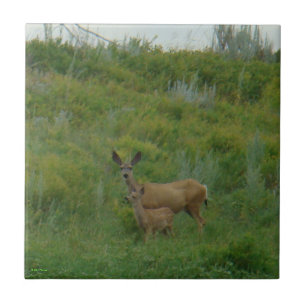 Azulejo D5 Mule Deer Doe and Fawn
