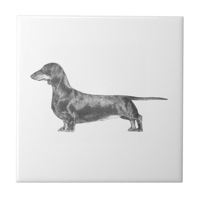 Azulejo Dachshund (Frente)