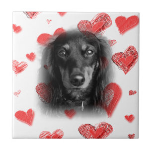Azulejo Dachshund con corazones rojos