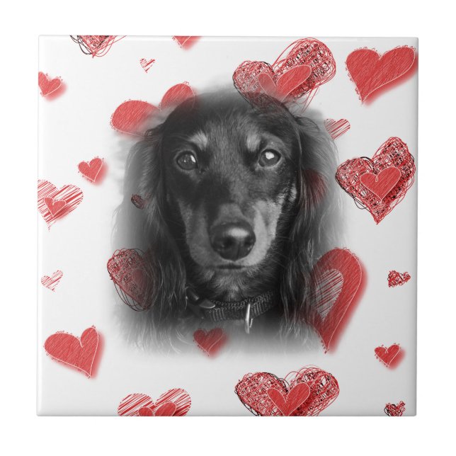 Azulejo Dachshund con corazones rojos (Frente)