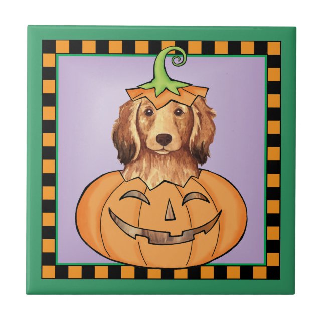 Azulejo Dachshund de cabello largo de Halloween (Frente)