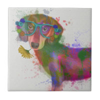 Dachshund & Glasses Splash Arcoiris