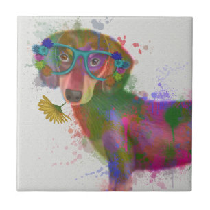 Azulejo Dachshund & Glasses Splash Arcoiris