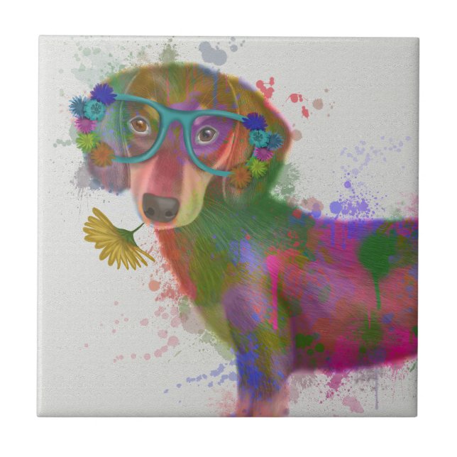 Azulejo Dachshund & Glasses Splash Arcoiris (Frente)