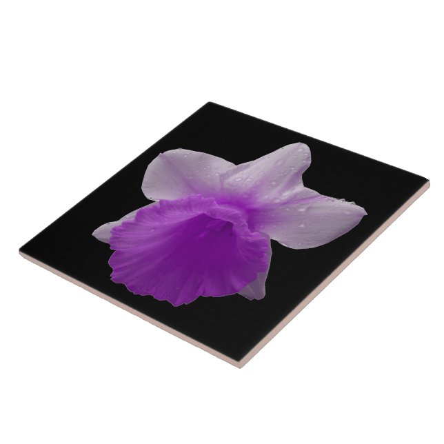 Azulejo Daffodil Púrpura Tile (Lado)
