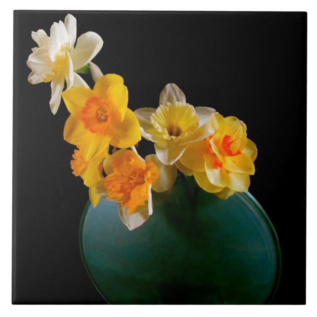 Azulejo Daffodils de gran tamaño (6" X 6") Tile de fotogra (Frente)