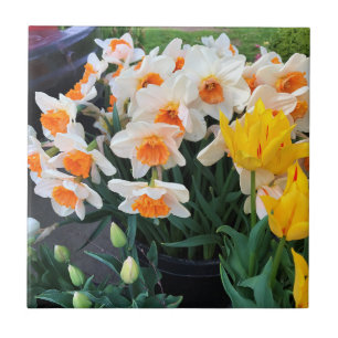 Azulejo Daffodils & Tulips, Oregón