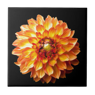 Azulejo Dahlia