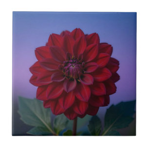 Azulejo Dahlia Flor Roja Borgoña Elegante