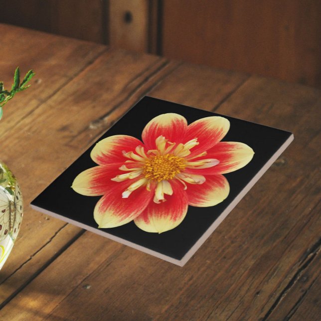 Azulejo Dahlia Floral Collarette Naranja y Amarillo (In Situ)