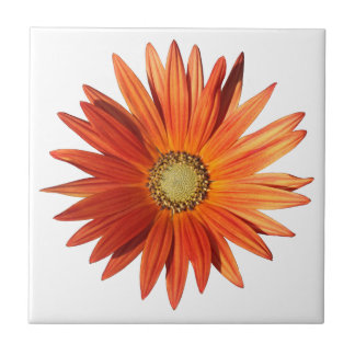 Azulejo Daisy africano