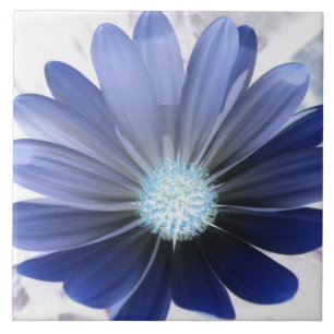 Azulejo Daisy africano con una brillante mosaico azul