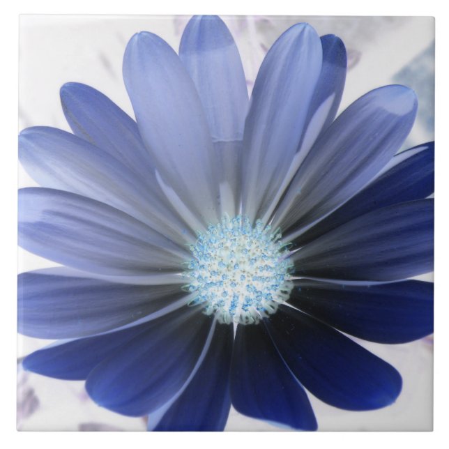 Azulejo Daisy africano con una brillante mosaico azul (Frente)
