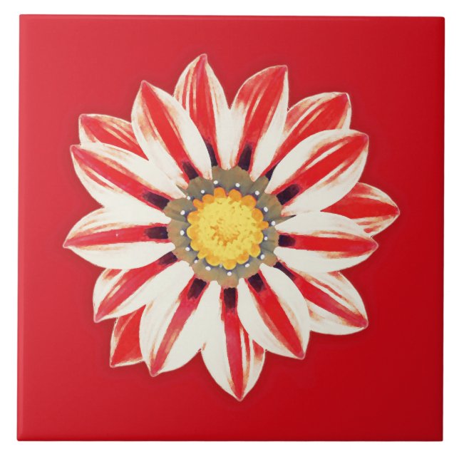 Azulejo Daisy africano / Gazania - franja roja y blanca (Frente)