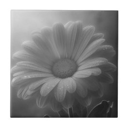 Azulejo Daisy blanco y negro
