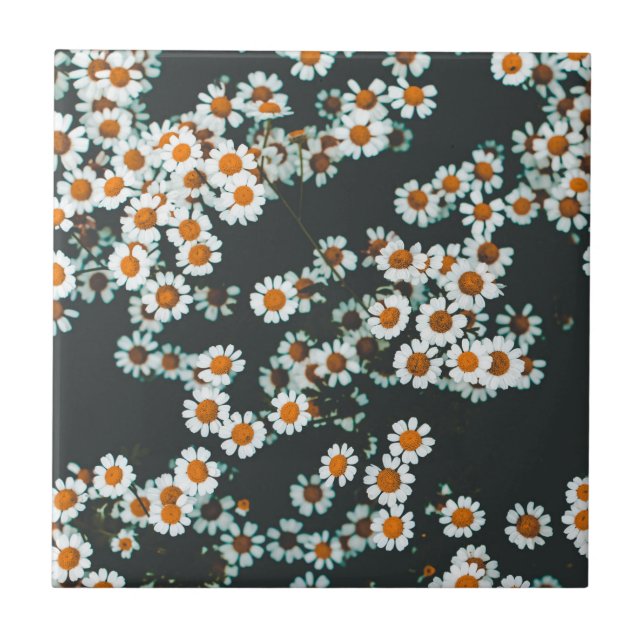 Azulejo Daisy Daisies Floral (Frente)