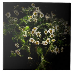 Azulejo Daisy, Flores