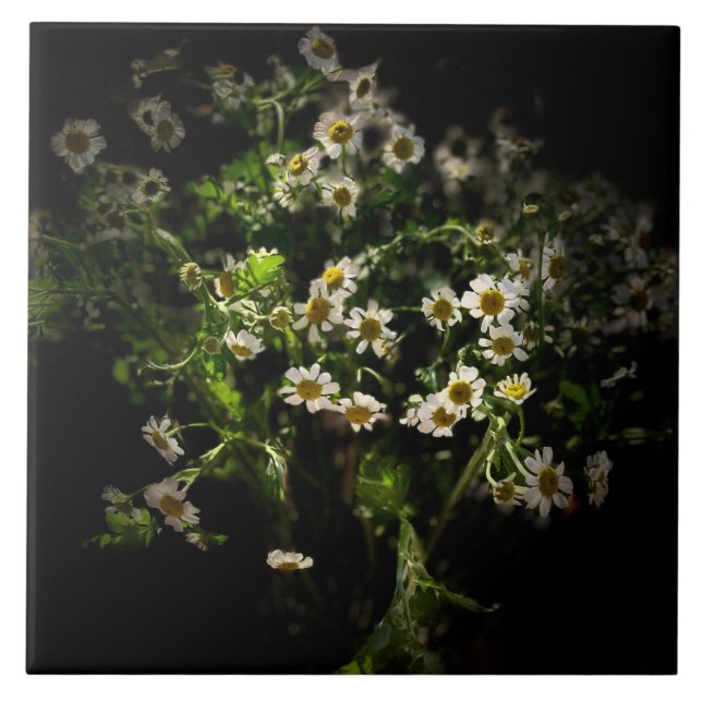 Azulejo Daisy, Flores (Frente)